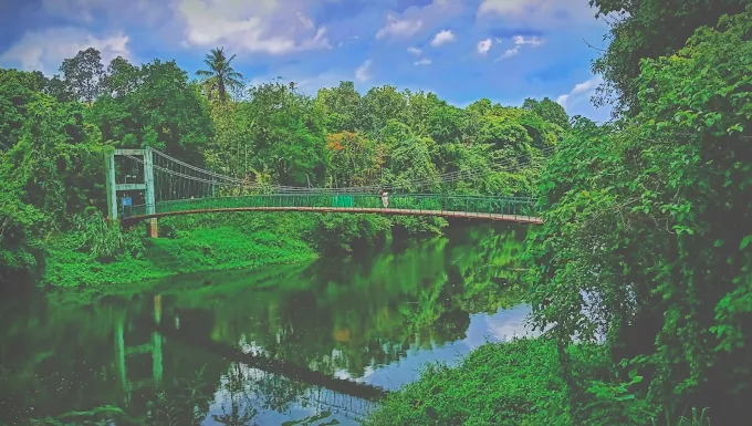 Kaipuzha hanging bridge