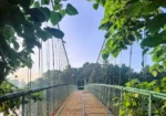 Kaipuzha hanging bridge