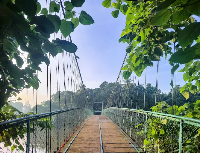 Kaipuzha hanging bridge